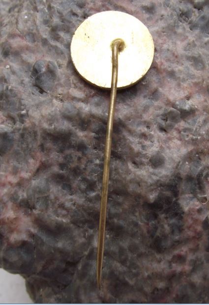 Antique Luhatschowitz Luhacovice Town Natural Spring Water Fountain Pin Badge - Badgecrazy