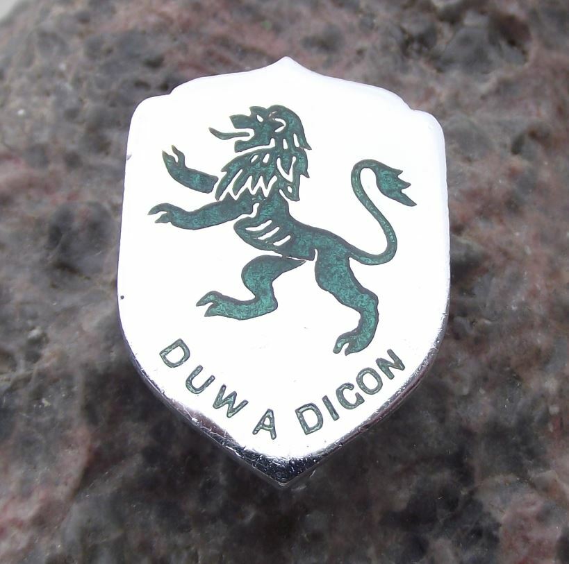 Denbighshire Wales DUW A DIGON With God Enough Black Lion Formal Buttonhole - Badgecrazy