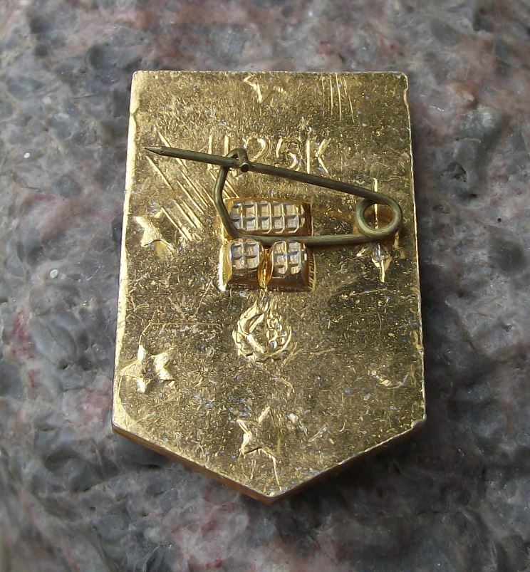 Vintage Bakhchysarai City Soviet Coat of Arms Heraldic Crest Shield Pin Badge - Badgecrazy