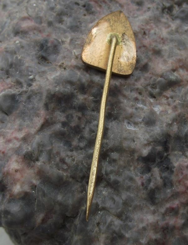 Antique Ryna Czech Fishing Tackle & Hook Makers Fish Logo Advertising Pin Badge - Badgecrazy
