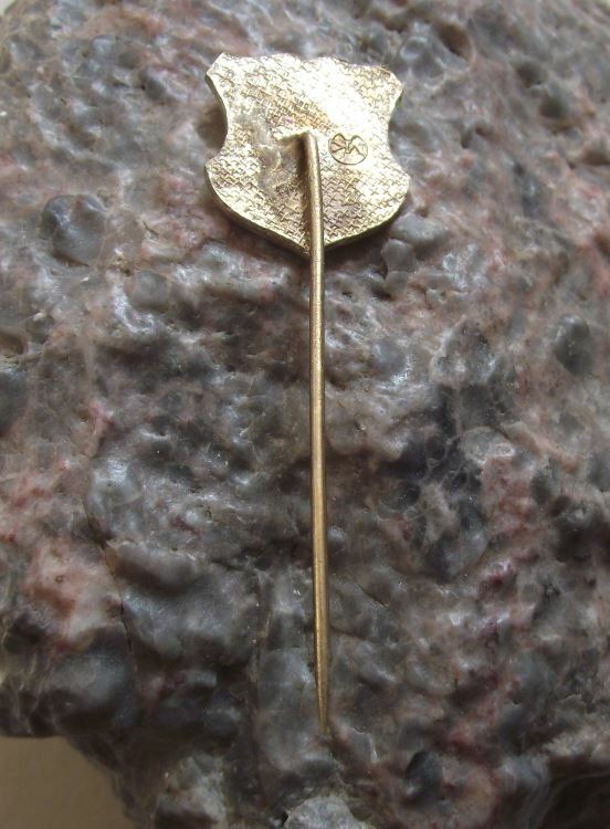 Antique Veltrusy Mansion Palace Zamek Heraldic Coat of Arms Crest Pin Badge - Badgecrazy