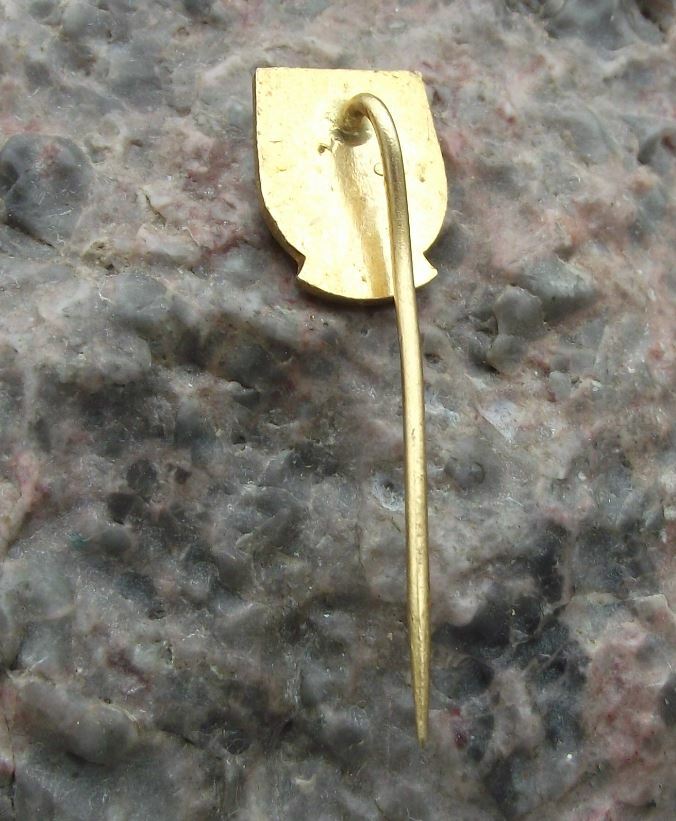 Antique Kaplice Czechoslovakia Official Town Crest Heraldic Coat Arms Pin Badge - Badgecrazy