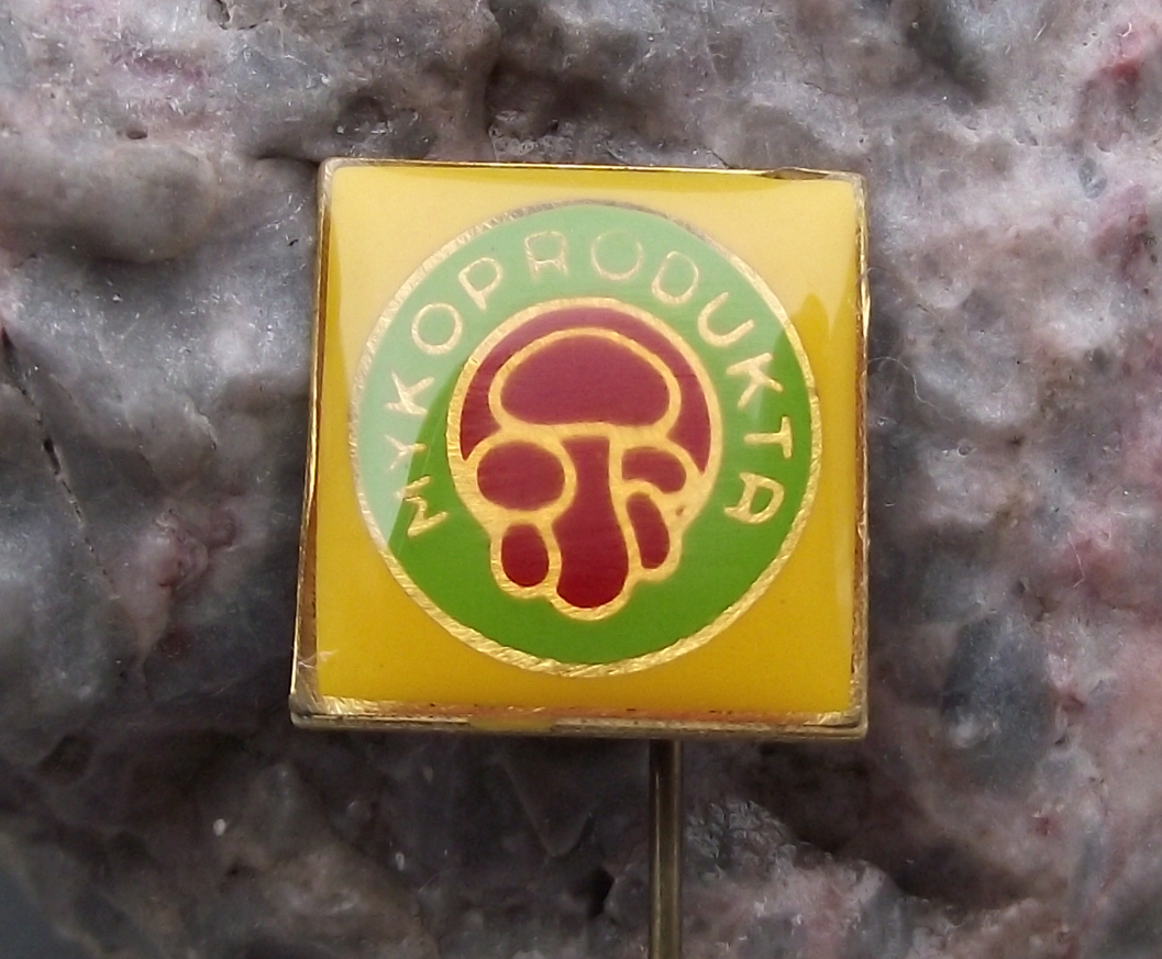 Cluster of Edible Bolete Mushrooms Fungus Mycologist Mykoprodukta Pin Badge - Badgecrazy