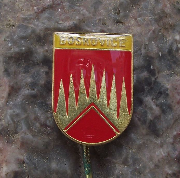Antique Boskovice Boskowitz Heraldic Crest Coat of Arms Souvenier Pin Badge - Badgecrazy