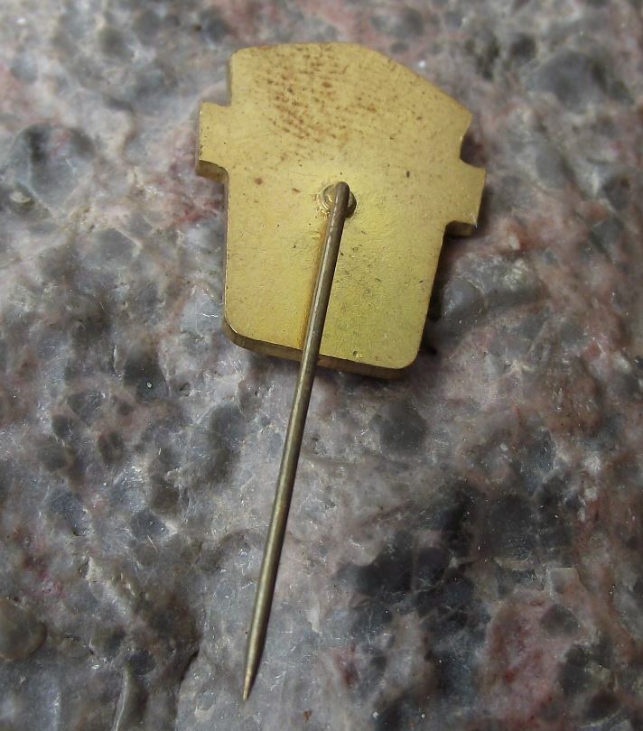 Vintage Svazarm Czech Military Reserve DVIL Coal Mines Defence Force Pin Badge - Badgecrazy