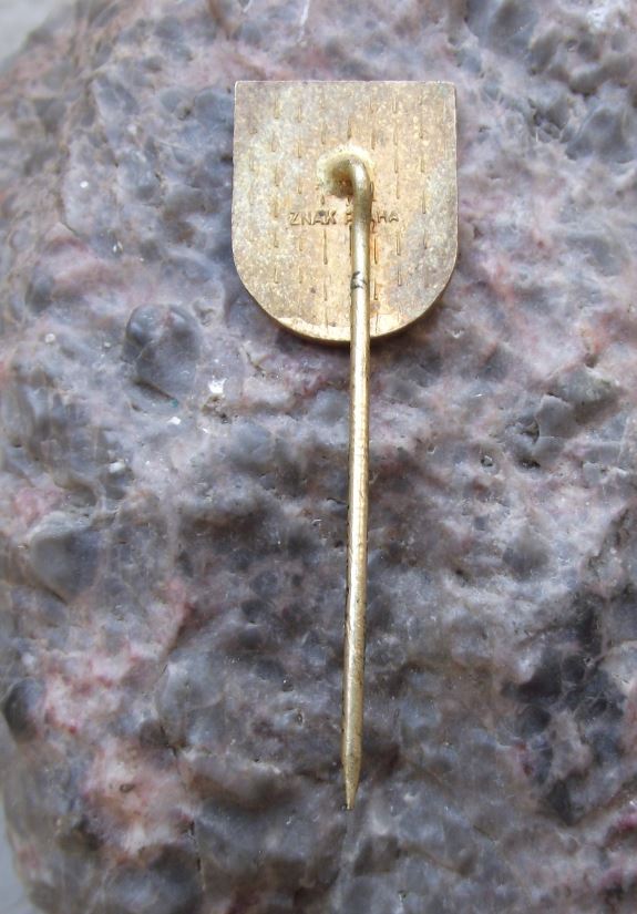 Vyskov Open Portcullis Gate Castle Walls Coat of Arms Heraldic Crest Pin Badge