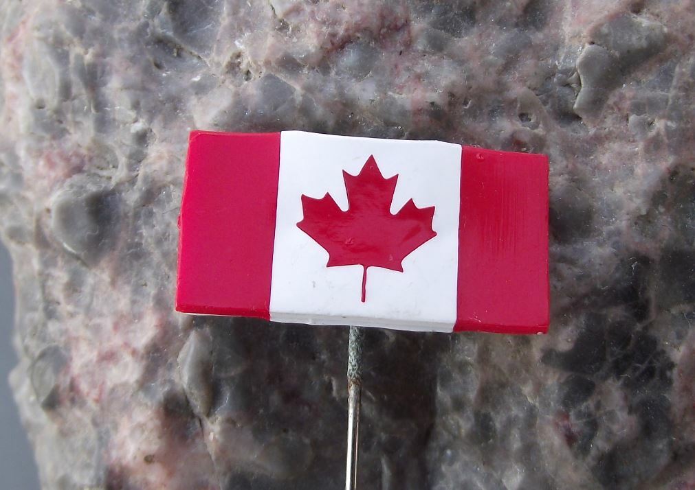 Dominion of Canada Maple Leaf National Canadian Flag Official Plastic Pin Badge - Badgecrazy
