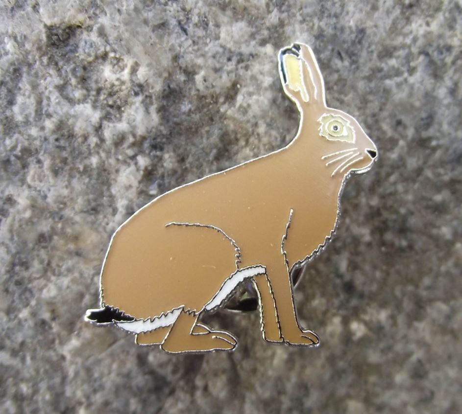 North American Jack Rabbit Hare Wildlife Brooch Wild Animal Mammal Pin Badge - Badgecrazy