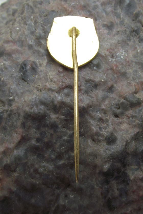 Vysoke Tatry High Tatra Mountains Edelweiss Czech National Park Shield Pin Badge