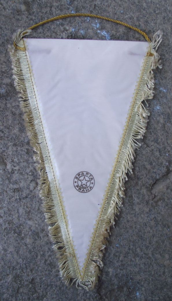 Recuerdo de Uruguay Museo Oceanografico Oceanographic Institute Pennant Flag - Badgecrazy