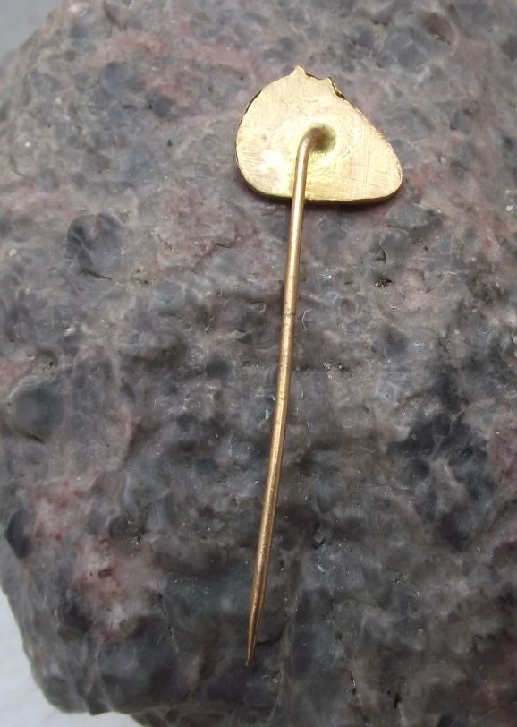 Antique Zilina Sillein Budatin Castle Czech Tourist Souvenier Pin Badge - Badgecrazy