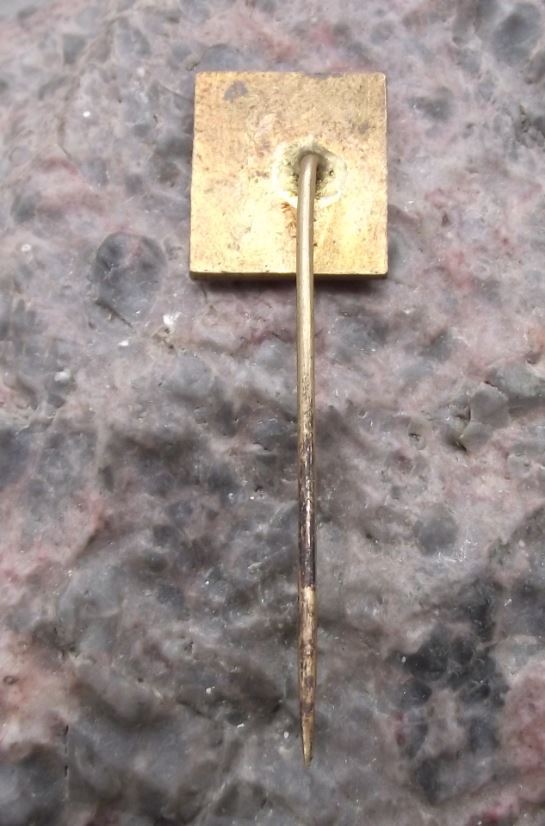Antique Czech Eagle Mountains Orlicke Hory Pastviny Lake Dam Zamberk Pin Badge - Badgecrazy