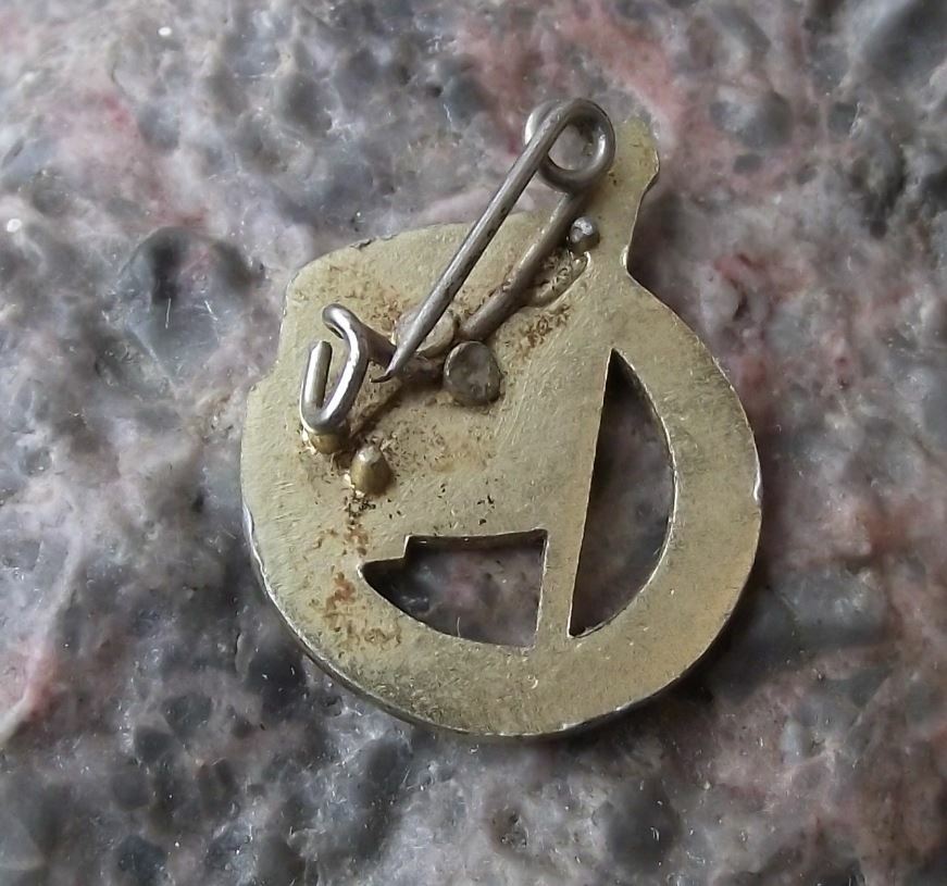 1967 FDJ Freie Deutsche Jugend East Germany Youth Parliament DDR Pin Badge - Badgecrazy