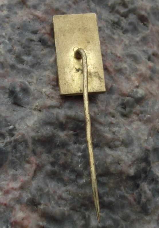 Vintage Zvikov Gothic Castle Klingenberg Czech Tourist Souvenier Pin Badge - Badgecrazy