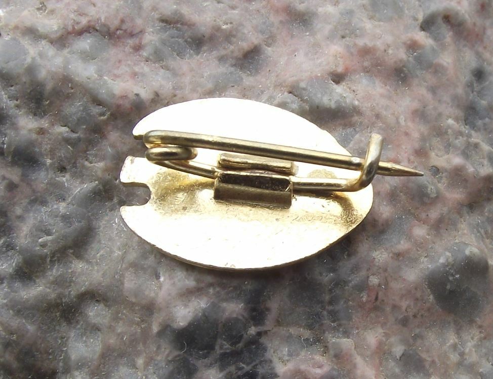 Antique Valencia CF Seville Football Club Spain Soccer Crest Shield Pin Badge - Badgecrazy