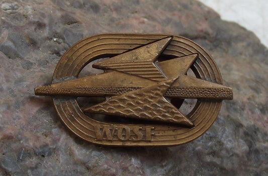 WOSF Wojskowa Odznaka Sprawnosci Fizycznej Military Fitness Uniform Pin Badge