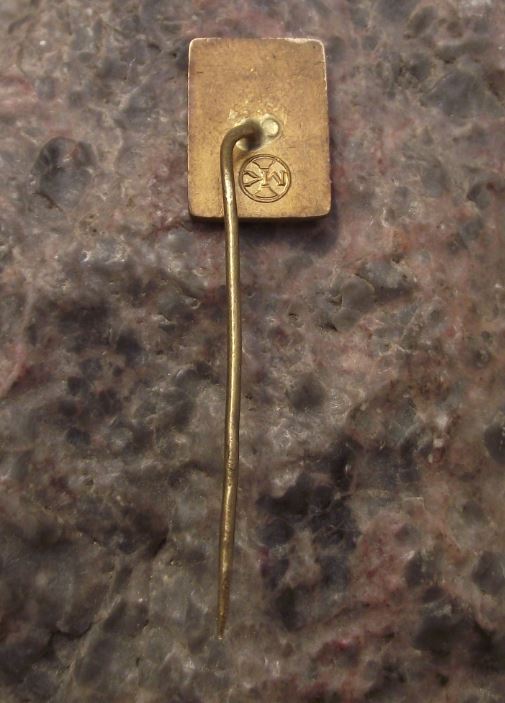 Aeroklub Glider Association Pilots Flying Club Members Sail Plane Pin Badge - Badgecrazy