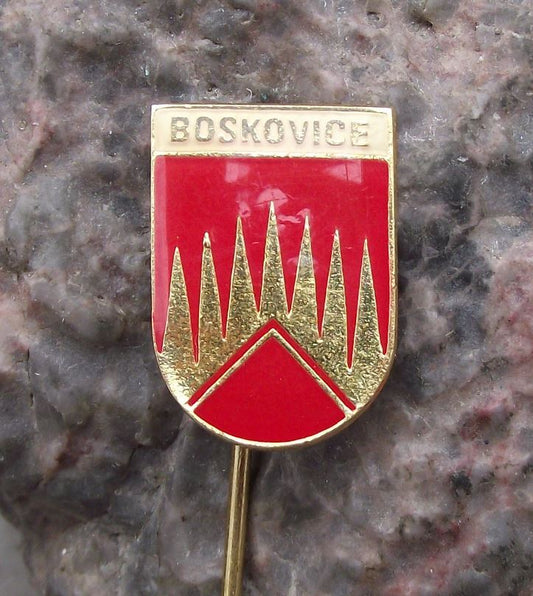 Antique Boskovice Boskowitz Heraldic Crest Coat of Arms Souvenier Pin Badge - Badgecrazy