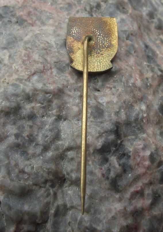 Antique Jindrichuv Hradec Lions Rose Czech City Heraldic Coat of Arms Pin Badge - Badgecrazy