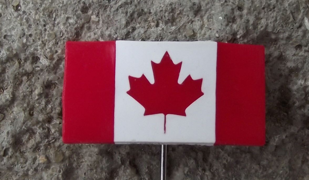 Dominion of Canada Maple Leaf National Canadian Flag Official Plastic Pin Badge - Badgecrazy
