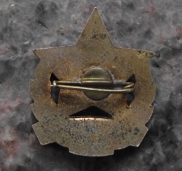 Hungary Excellent Leader Civil Defense MHSz MHS Kivalo Korvezeto Star Pin Badge - Badgecrazy