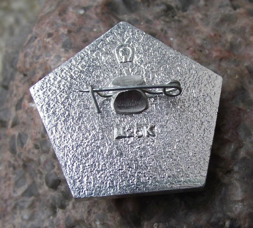 Vintage Soviet Union World War 2 WWII 1941 1945 Commemorative Star Pin Badge - Badgecrazy