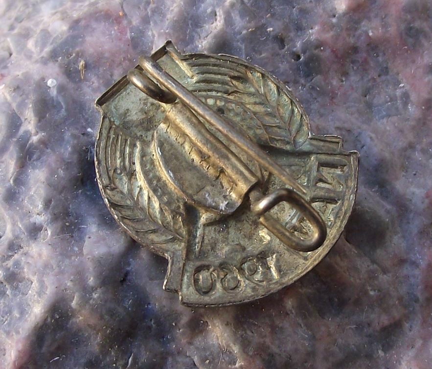 1960 NAW Nationale Aufbauwerk GDR German National Front Compass Hammer Pin Badge - Badgecrazy