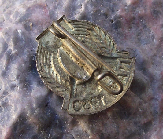 1960 NAW Nationale Aufbauwerk GDR German National Front Compass Hammer Pin Badge - Badgecrazy