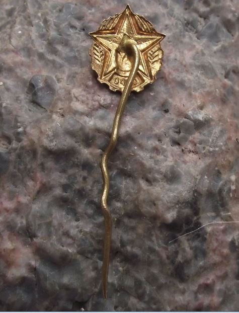 CSPO Czech Fire Fighters Union Fireman Emergency Service Flames & Star Pin Badge - Badgecrazy