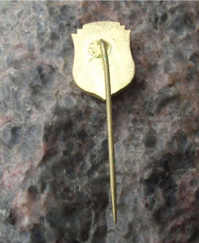 Antique Usti nad Labem Lion Knight Helmet Heraldic Crest Coat of Arms Pin Badge - Badgecrazy