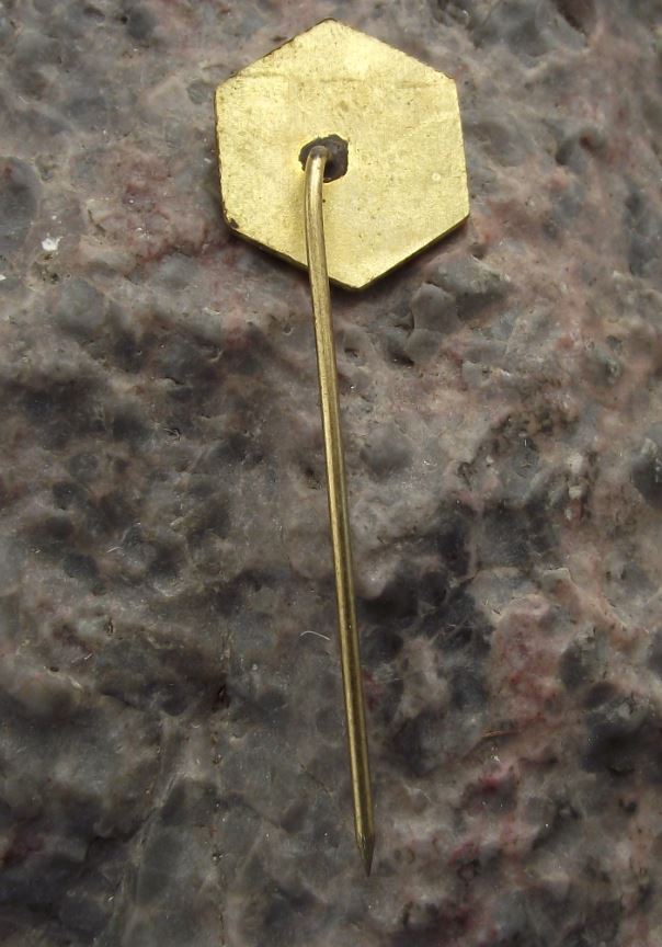 PKB Honey Bee Keeping Association Yugoslavia Hexagon Honeycomb PBK Pin Badge - Badgecrazy