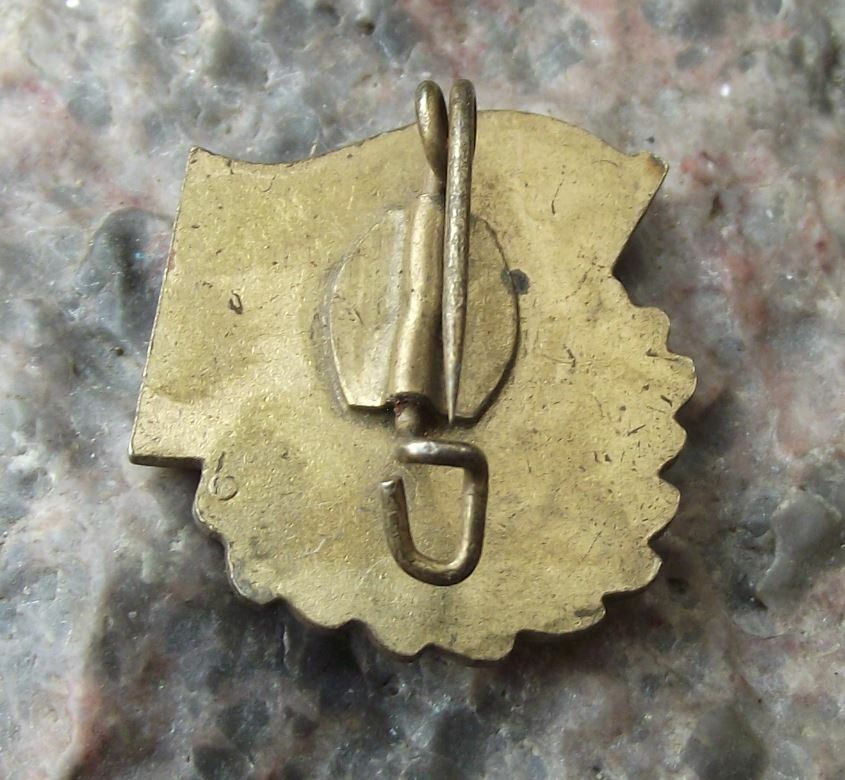Vintage Thalmann Pioneers German Youth Good School Work DDR Book Award Pin Badge - Badgecrazy