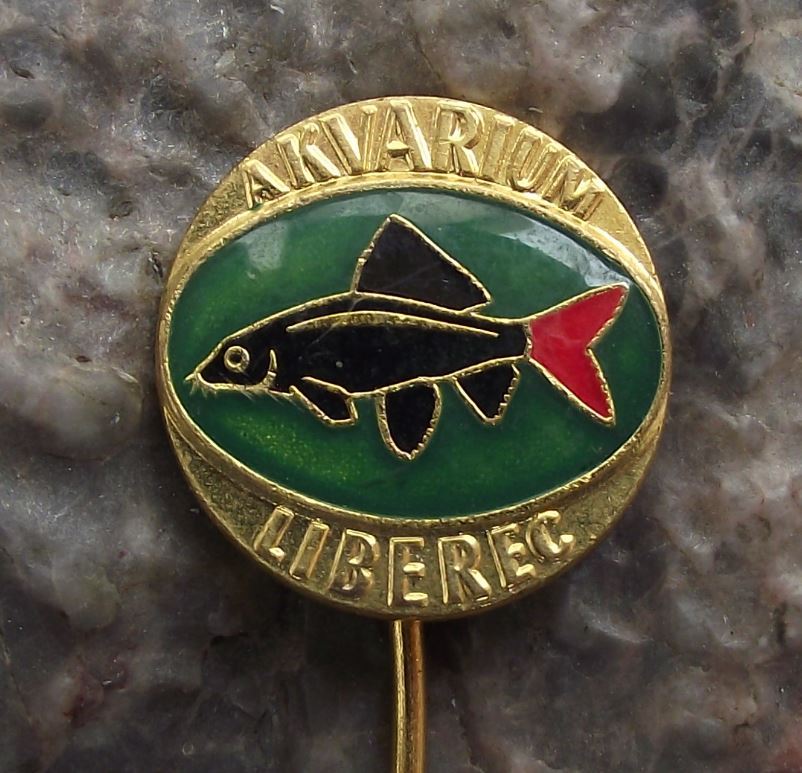 Labeo bicolor Shark Aquarium Tropical Fish Club Liberec Czechoslovakia Pin Badge - Badgecrazy