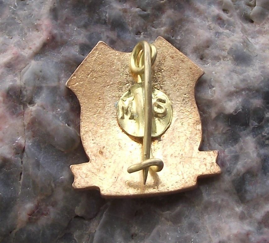 Vintage FC Farul Constanta Romanian Soccer Football Shield Crest Pin Badge - Badgecrazy