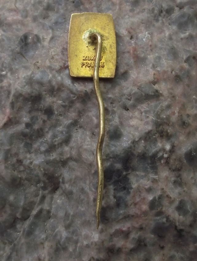 Karlovy Vary Karslbad Carlsbad Czech Spa City Healing Spring Fountain Pin Badge - Badgecrazy