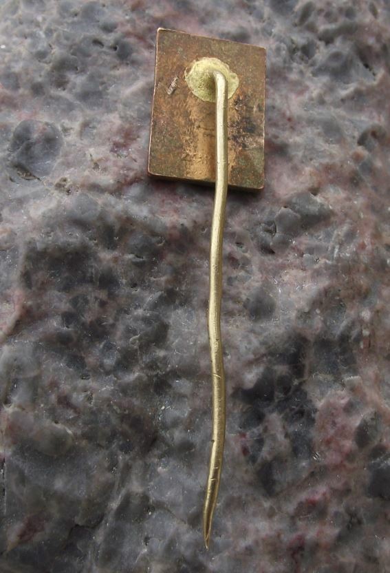 Antique Usti nad Labem Lion Knight Helmet Heraldic Crest Coat of Arms Pin Badge - Badgecrazy