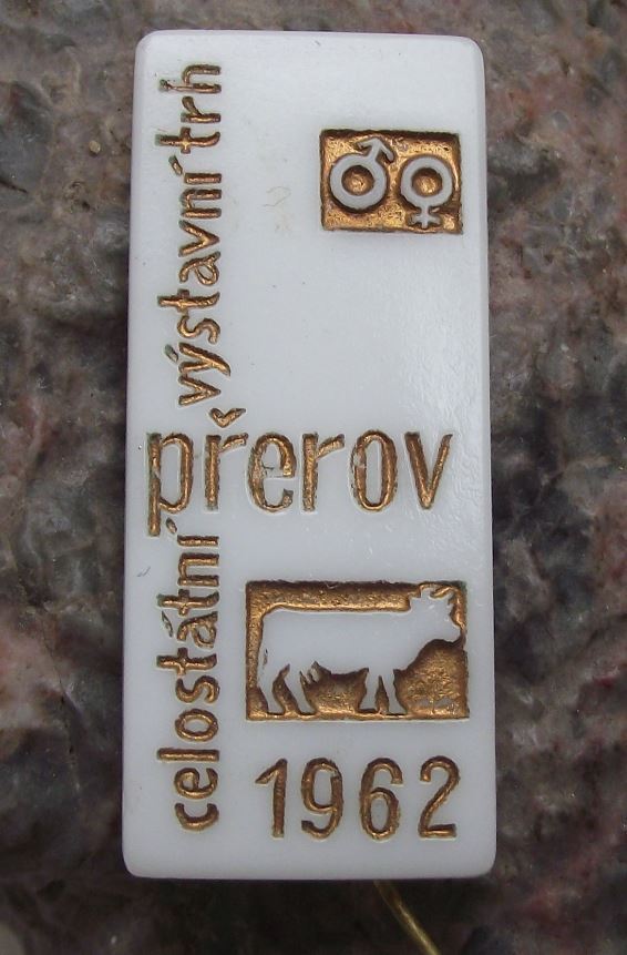 1962 Ceramic Bakelite Hard Plastic Cattle & Cow Breeders Show & Fair Pin Badge - Badgecrazy