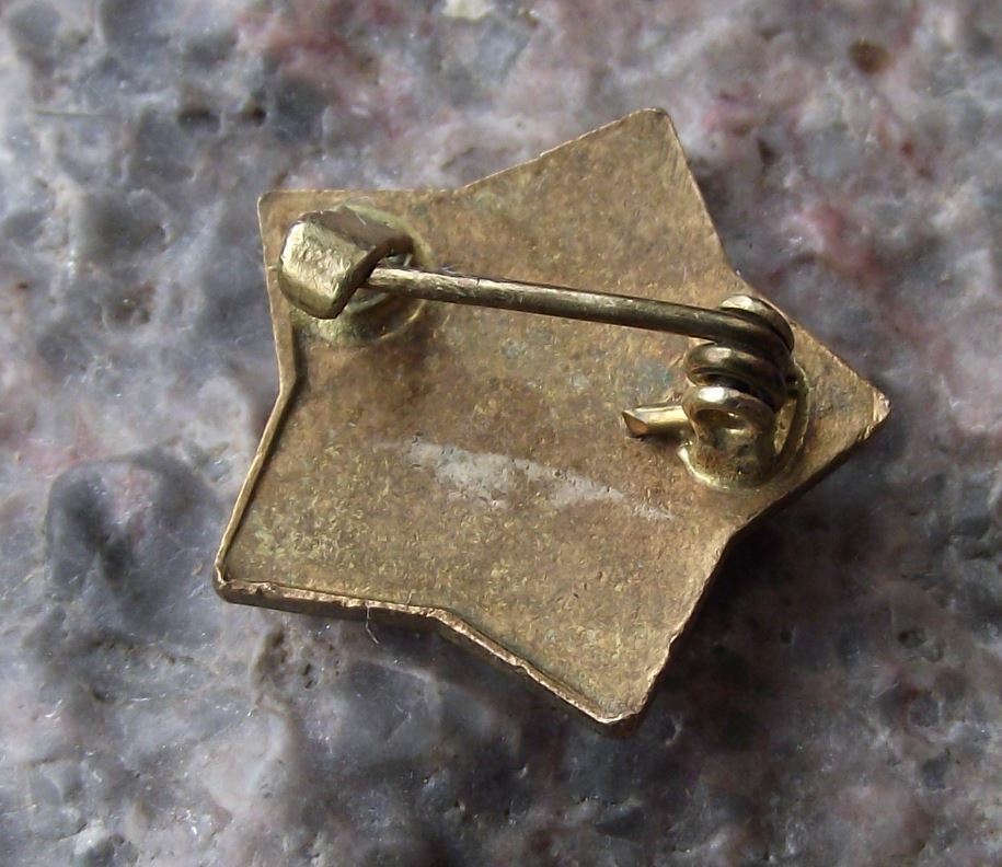 Antique Czechoslovaka Pioneer Organisation Campfire Flames Motif Tabor Pin Badge - Badgecrazy