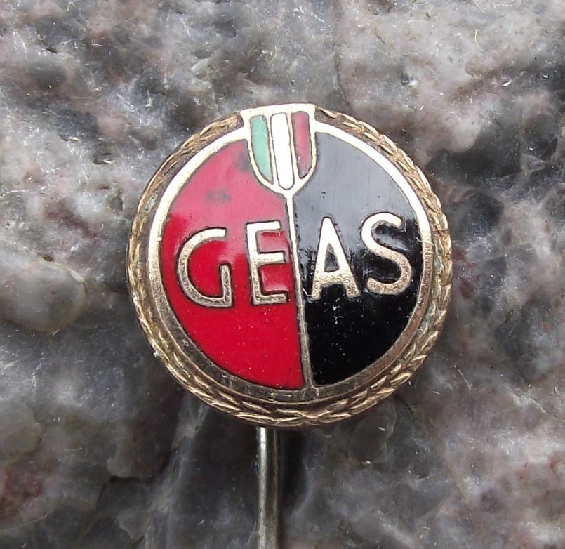 Antique GEAS Allianz Geas S.S.Giovanni Basketball Club Italy Members Pin Badge - Badgecrazy