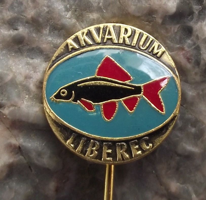 Labeo bicolor Shark Aquarium Tropical Fish Club Liberec Czechoslovakia Pin Badge - Badgecrazy