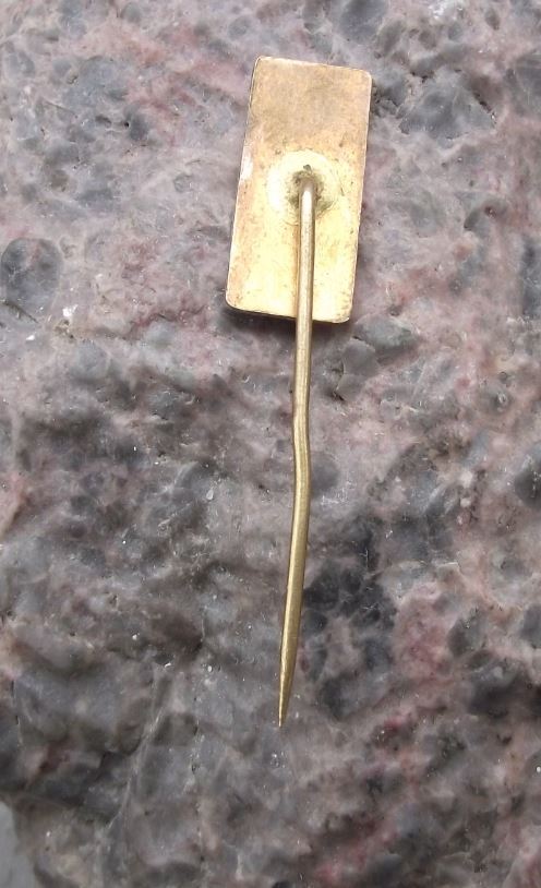 Antique Prostejov Town Hall Czechoslovakia Tourist Souvenier Pin Badge - Badgecrazy