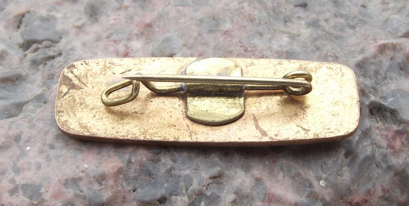 Vintage Federation Syndicale Mondiale FSM Student Youth Union Movement Pin Badge - Badgecrazy