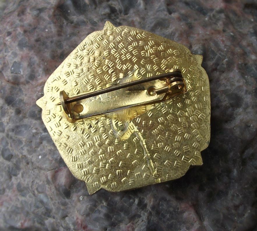 Antique Southampton Football Club SFC Supporter Soccer Flower Bloom Pin Badge - Badgecrazy