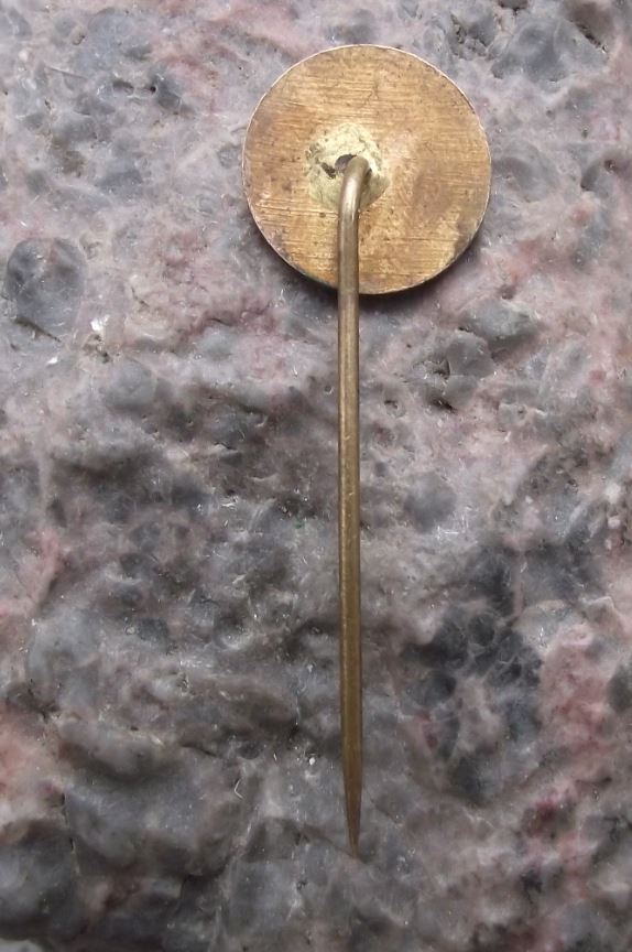 Antique Zlate Peisky Slovakia Lake Summer Resort Tourist Water Ring Pin Badge - Badgecrazy