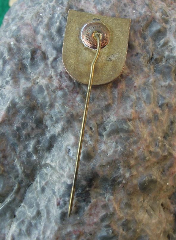 Antique Pivovar Pivovara Daruvar 1840 Croatian Pivo Lager Beer Pin Badge - Badgecrazy