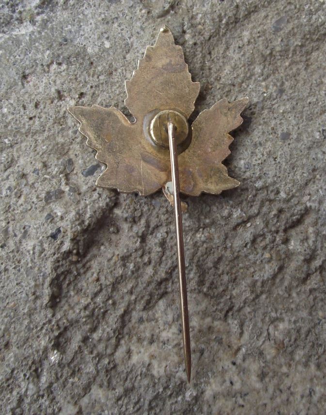 Large Canada Maple Leaf Autumn Colours Fall National Canadian Flag Pin Badge - Badgecrazy