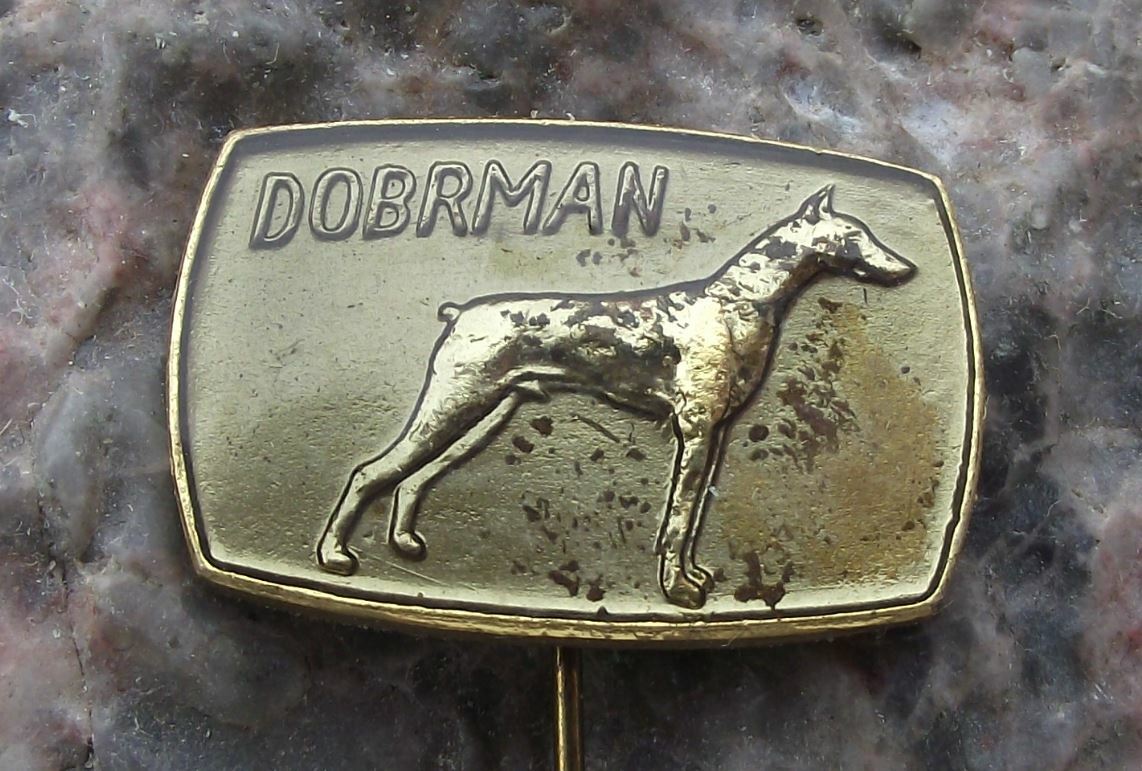 Antique Doberman Pinscher Pedigree Czech Dog Breeders Association Pin Badge - Badgecrazy