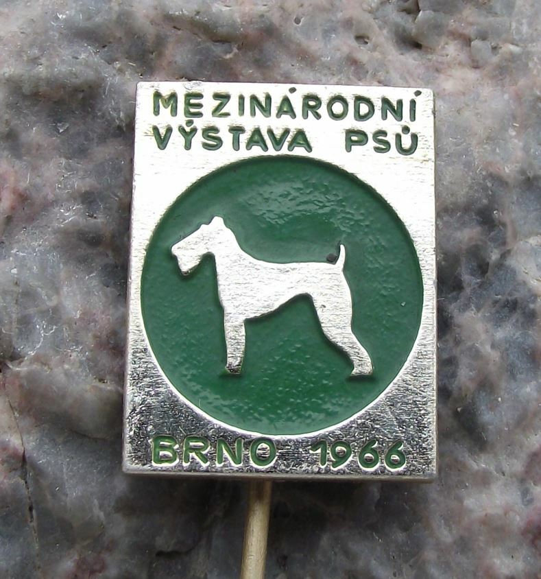 1966 International Dog Breeders Club Show Event Brno Schnauzer Breed Pin Badge - Badgecrazy