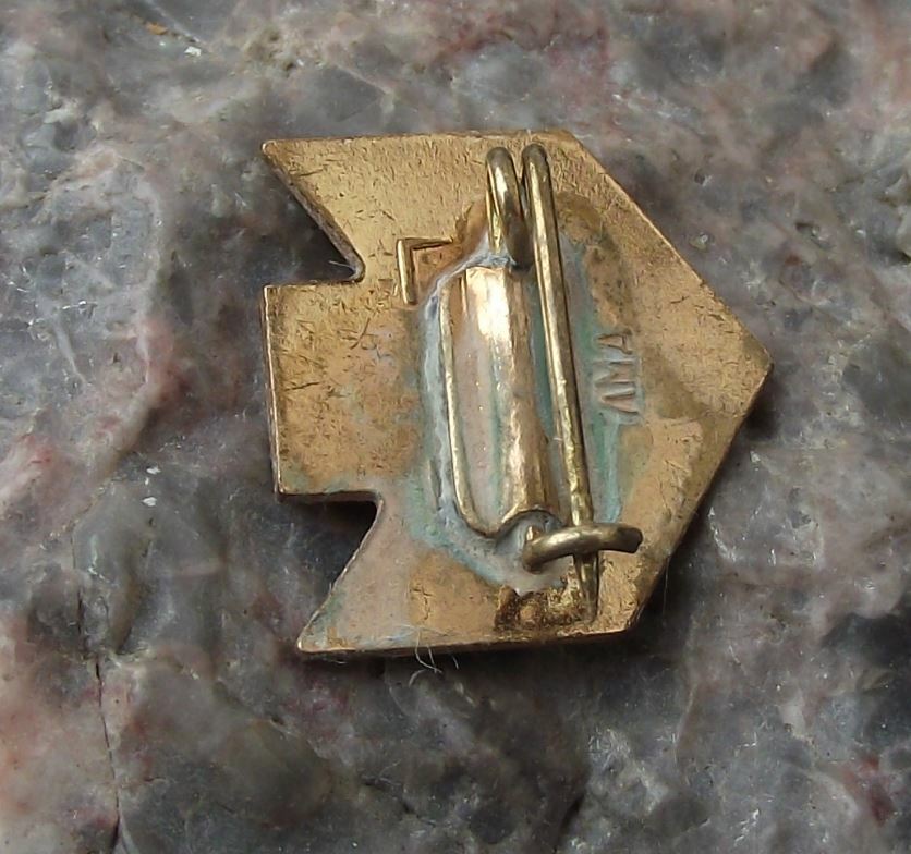 Vintage All Russia Exhibition Centre BAHX VDNKh Plane Ship Train Pin Badge - Badgecrazy