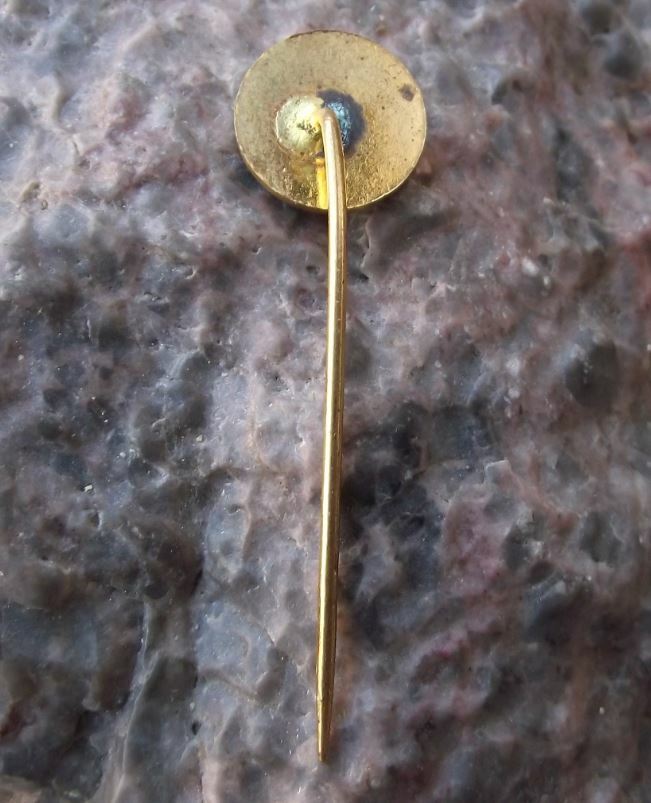 Antique Esperanto Language Association Club Members Letter E Star Pin Badge - Badgecrazy